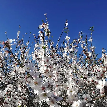 Casa Mimi Distretto di Faro